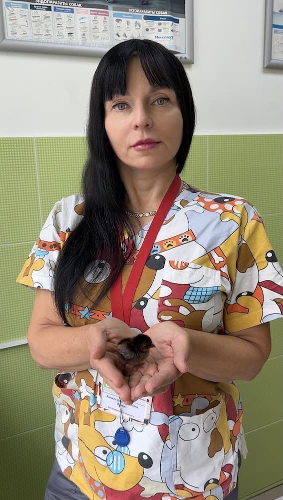 Яцкевич